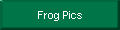 Frog Pics