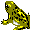 FROG03.GIF (271 bytes)